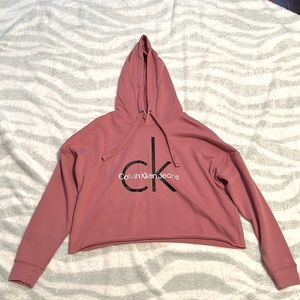 This Calvin Klein hoodie is brand new and still has tags